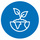 المدينة المستدامة